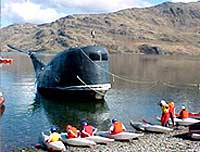 Moby in the Highlands of Scotland